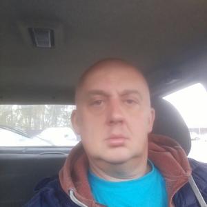 Александр Апанасенков, 54 года, Абрамцево