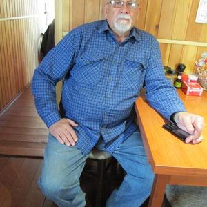 Геннадий, 68 лет, Новосибирск