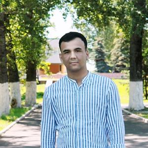 Дамир, 26 лет, Саранск