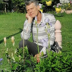 Александр Будник, 66 лет, Владивосток