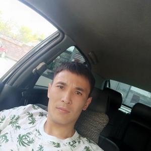 Дамир, 33 года, Астана