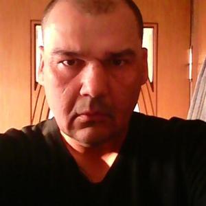 Андрей Ким, 48 лет, Тула