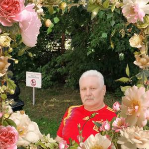Владимир, 61 год, Самара