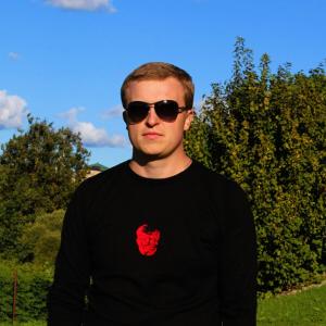 Никита, 29 лет, Псков