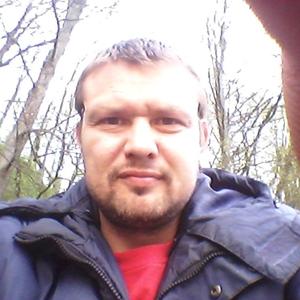Николай Фомин, 41 год, Гусев
