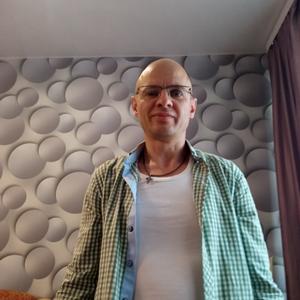 Виталик, 44 года, Тула