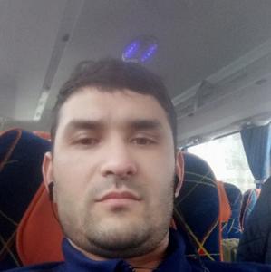 Шамил, 34 года, Санкт-Петербург