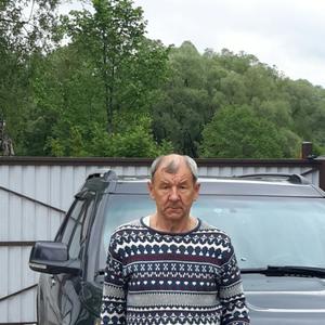 Алексей, 70 лет, Москва
