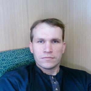 Алексей Баранцев, 46 лет, Мурманск