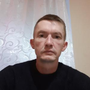 Дима Фадеев, 42 года, Кишинев