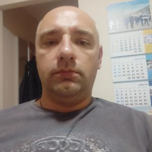 Андрей, 44 года, Кировск