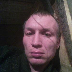 Вячеслав, 39 лет, Шарья