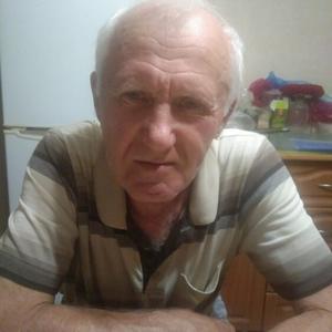 Валерий Городнянский, 75 лет, Железноводск