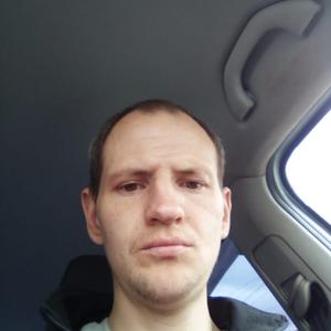 Николай, 35 лет, Вологда
