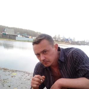Владимир, 44 года, Кострома