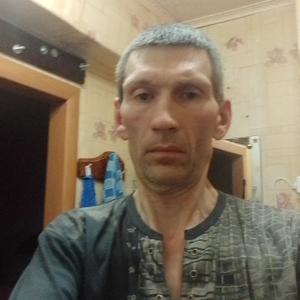 Михаил, 46 лет, Судогда