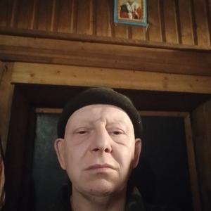 Николай, 49 лет, Смоленск