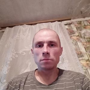 Парни в Прокопьевске: Евгений, 44 - ищет девушку из Прокопьевска