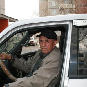 Николай Николай, 79 лет, Минусинск