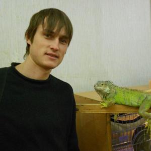 Николай, 43 года, Кинешма