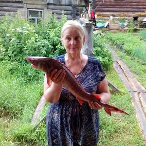 Татьяна, 68 лет, Омск