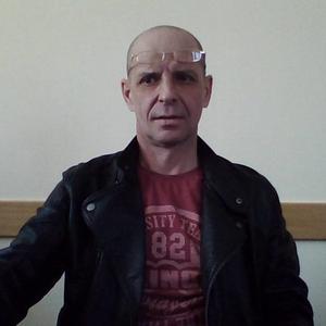 Андрей Гревцев, 55 лет, Челябинск