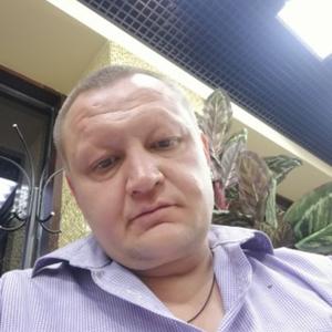 Александр, 45 лет, Раменское