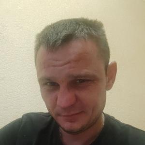 Никита, 39 лет, Череповец