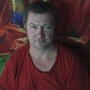 Володя, 49 лет, Вологда