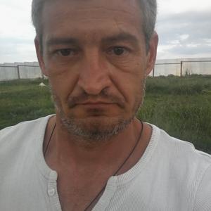 Mарат, 46 лет, Курск