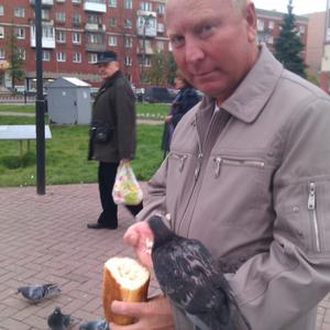 Парни в Волгограде: Михаил, 54 - ищет девушку из Волгограда