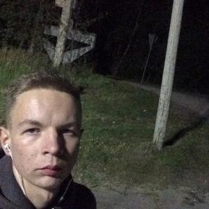 Алексей, 27 лет, Кольчугино