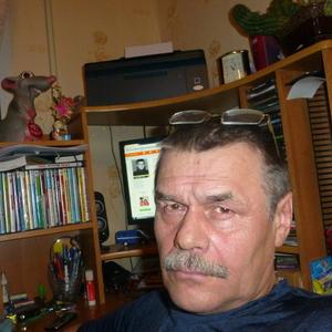 Сергей Салмин, 65 лет, Новосибирск