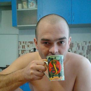 Николай, 41 год, Киров