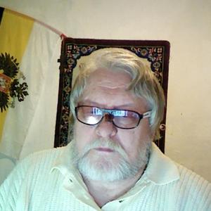 Александр, 71 год, Богородицк