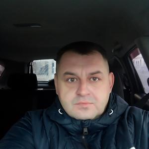 Андрей, 48 лет, Новоалтайск