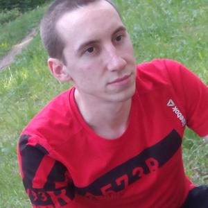 Дмитрий, 35 лет, Электросталь
