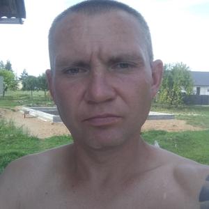 Коля, 38 лет, Минск