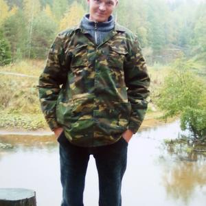 Александр, 42 года, Звенигово