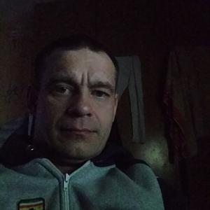 Сваи, 45 лет, Витебск