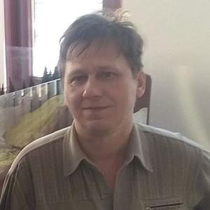 Олег Долматов, 54 года, Нижний Тагил