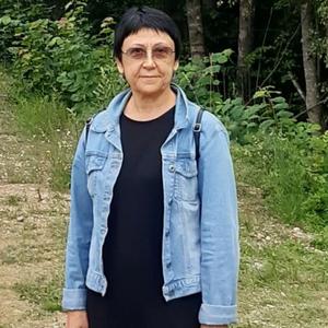Алла, 63 года, Калининград