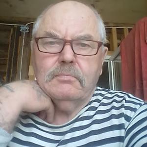 Владимир, 73 года, Москва