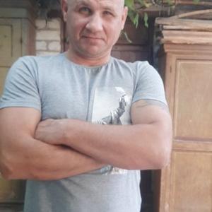 Николай, 47 лет, Саратов