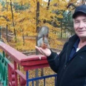 Николай, 67 лет, Самара