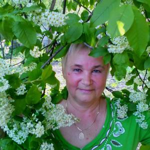 Людмила, 70 лет, Белгород