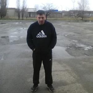 Алексей, 44 года, Кингисепп