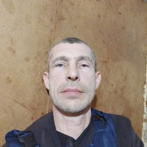 Игорь, 48 лет, Воронеж