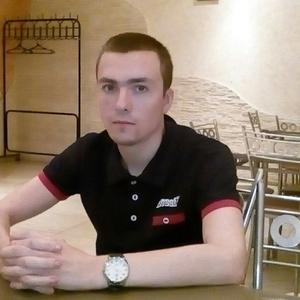 Сергей, 28 лет, Кольчугино