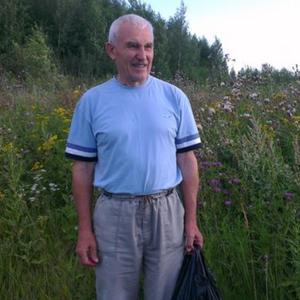 Alex, 62 года, Нижний Новгород